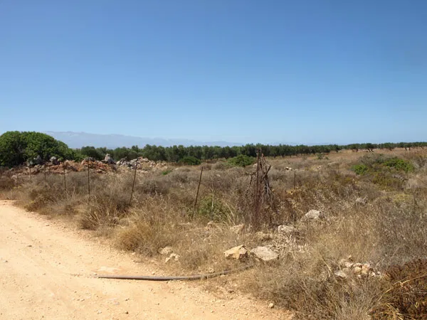Seafront 4,000 m² Plot of Land for Sale in Stavros, Akrotiri
