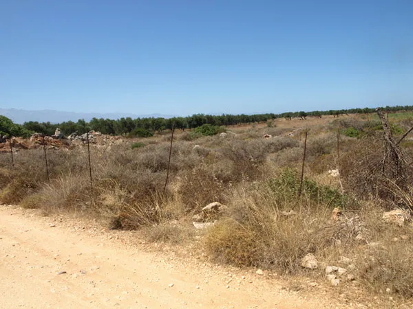 Seafront 4,000 m² Plot of Land for Sale in Stavros, Akrotiri — photo 4