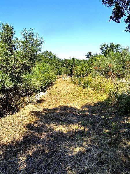 Seafront 2,104 m² Plot for Sale in Litsarda, Apokoronas — photo 3