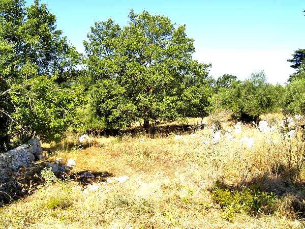 Seafront 2,104 m² Plot for Sale in Litsarda, Apokoronas