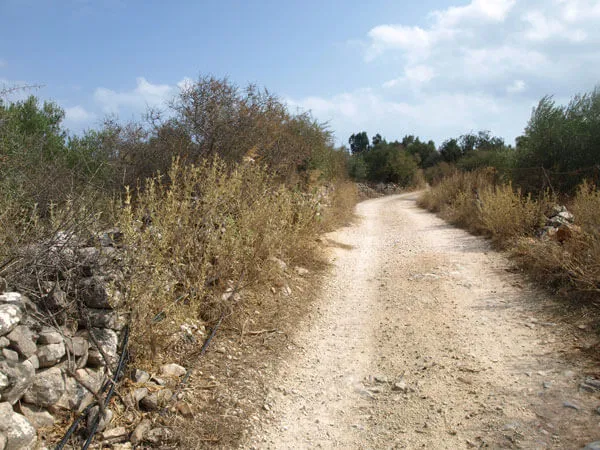 Seafront 4,000 m² Land for Sale in Litsarda, Apokoronas — photo 4