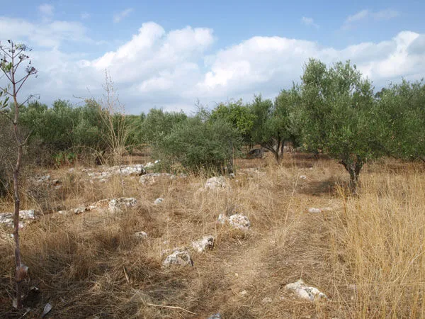 Seafront 4,000 m² Land for Sale in Litsarda, Apokoronas — photo 3