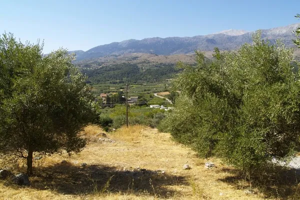 Seafront 1,000 m² Plot for Sale in Nippos, Apokoronas