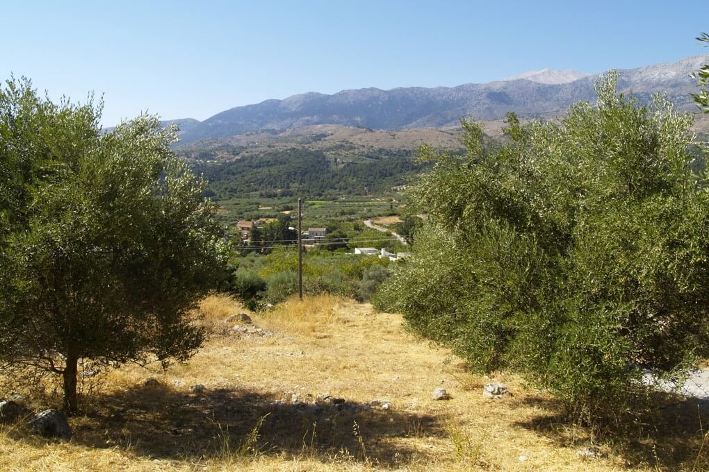 Seafront 1,000 m² Plot for Sale in Nippos, Apokoronas