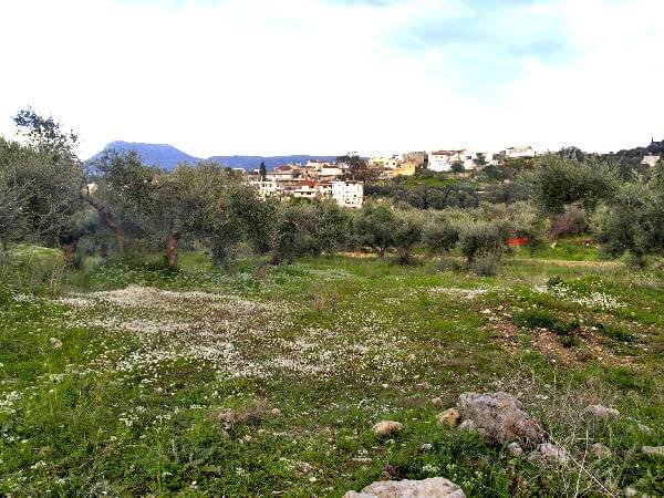 Seafront 2,033 m² Plot for Sale in Tsivaras, Apokoronas — photo 2