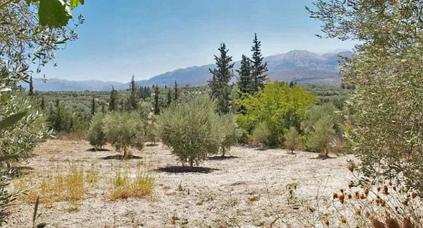 Seafront 2,141 m² Land for Sale in Agioi Pantes Apokoras, Apokoronas — photo 4