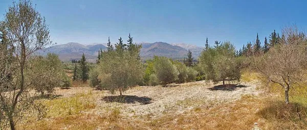 Seafront 2,141 m² Land for Sale in Agioi Pantes Apokoras, Apokoronas — photo 2