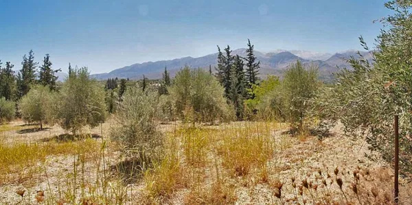 Seafront 2,141 m² Land for Sale in Agioi Pantes Apokoras, Apokoronas — photo 3