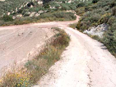 Seafront 10,000 m² Plot for Sale in Plakalona, Kissamos — photo 3