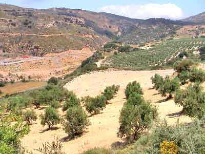 Seafront 10,000 m² Plot for Sale in Plakalona, Kissamos — photo 2