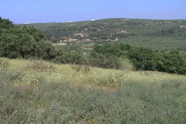 Seafront 25,133 m² Land for Sale in Spilia, Platanias — photo 3