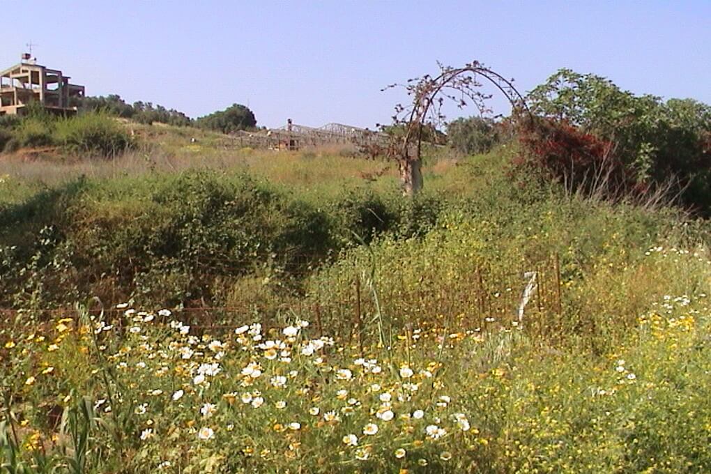 Seafront 25,133 m² Land for Sale in Spilia, Platanias