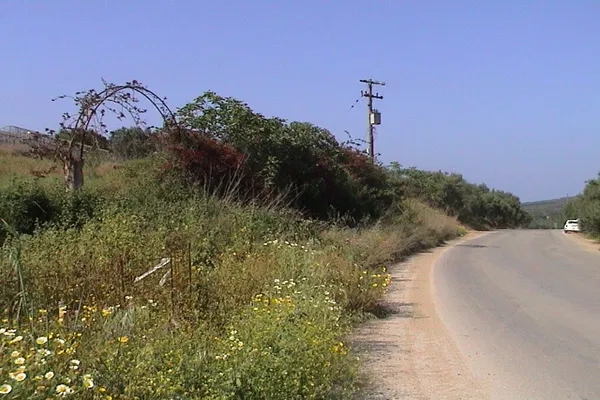 Seafront 25,133 m² Land for Sale in Spilia, Platanias — photo 2