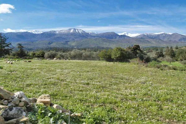 Seafront 2,080 m² Land for Sale in Nippos, Apokoronas — photo 5