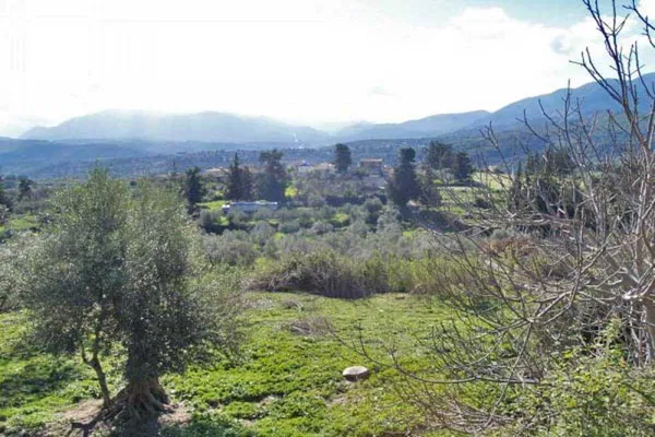 Seafront 2,080 m² Land for Sale in Nippos, Apokoronas — photo 3