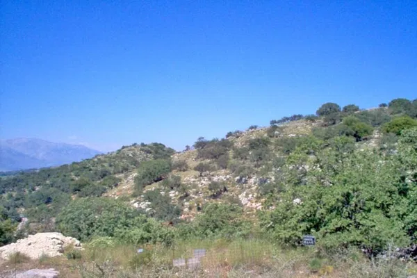 Seafront 12,000 m² Plot of Land for Sale in Gonia, Rethymnon — photo 3