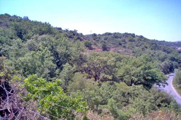 Seafront 12,000 m² Plot of Land for Sale in Gonia, Rethymnon — photo 4
