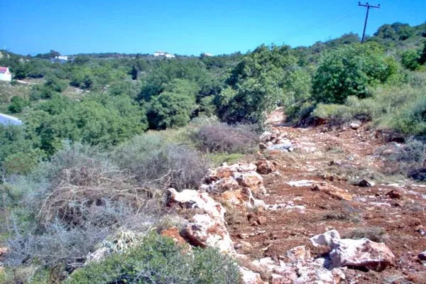 Seafront 12,000 m² Plot of Land for Sale in Gonia, Rethymnon — photo 5