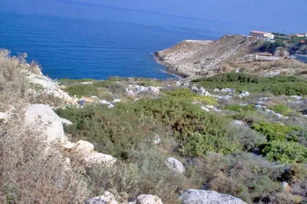Seafront 14,636 m² Plot of Land for Sale in Atsipopoulo, Rethymnon — photo 3