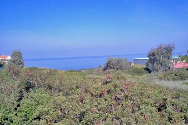 Seafront 14,636 m² Plot of Land for Sale in Atsipopoulo, Rethymnon — photo 4