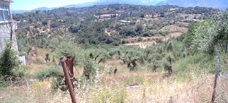 Seafront 1,510 m² Land for Sale in Karoti, Rethymnon