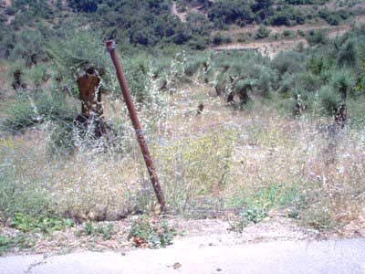 Seafront 1,510 m² Land for Sale in Karoti, Rethymnon — photo 3