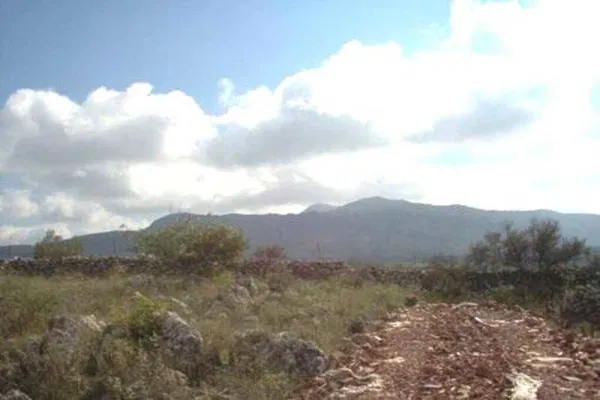 Seafront 4,000 m² Land for Sale in Somatas, Rethymnon — photo 5