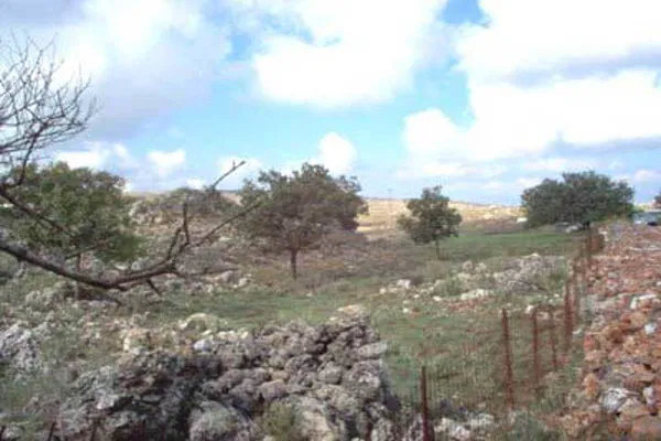 Seafront 4,000 m² Land for Sale in Somatas, Rethymnon — photo 4