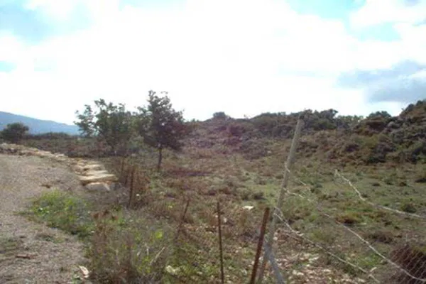 Seafront 4,000 m² Land for Sale in Somatas, Rethymnon — photo 3