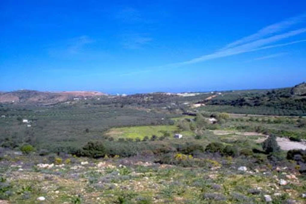 Seafront 89,000 m² Land for Sale in Panormo, Mylopotamos