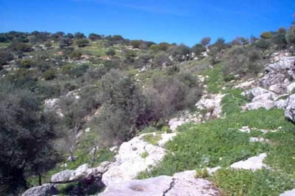 Seafront 89,000 m² Land for Sale in Panormo, Mylopotamos — photo 4