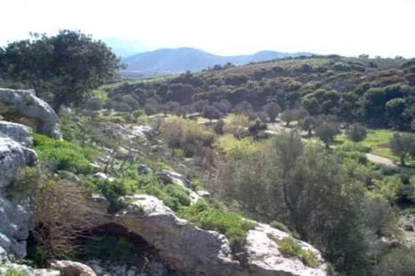 Seafront 89,000 m² Land for Sale in Panormo, Mylopotamos — photo 5