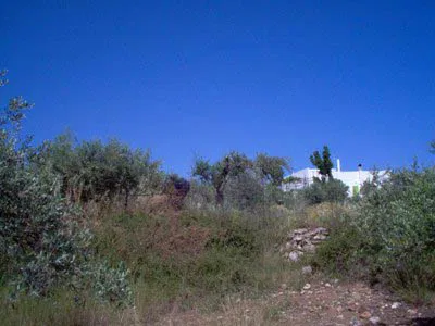 Seafront 1,145 m² Plot for Sale in Skouloufia, Rethymnon — photo 2