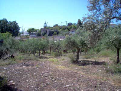 Seafront 1,145 m² Plot for Sale in Skouloufia, Rethymnon — photo 4