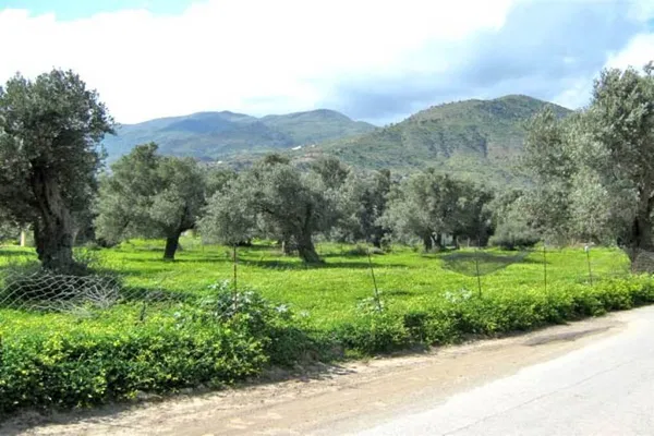 Seafront 4,029 m² Plot of Land for Sale in Agia Galini, Agios Vassilios — photo 2