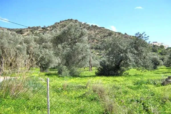 Seafront 4,029 m² Plot of Land for Sale in Agia Galini, Agios Vassilios — photo 4