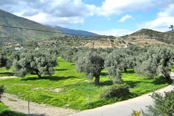Seafront 4,029 m² Plot of Land for Sale in Agia Galini, Agios Vassilios — photo 5