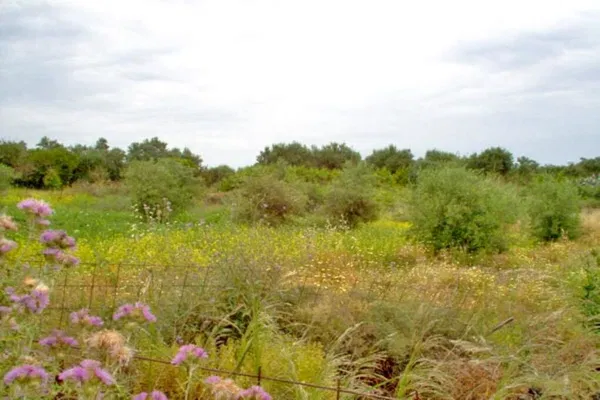Seafront 1,479 m² Plot for Sale in Loutra Rethymnon, Rethymnon — photo 3