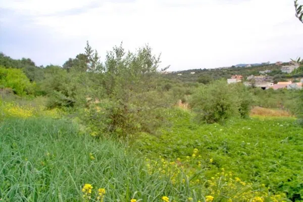Seafront 1,479 m² Plot for Sale in Loutra Rethymnon, Rethymnon