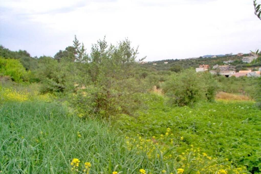 Seafront 1,479 m² Plot for Sale in Loutra Rethymnon, Rethymnon