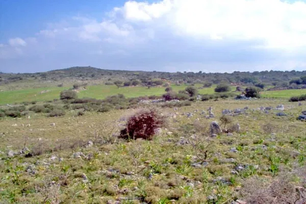 Seafront 108,751 m² Land for Sale in Gerani, Platanias — photo 4