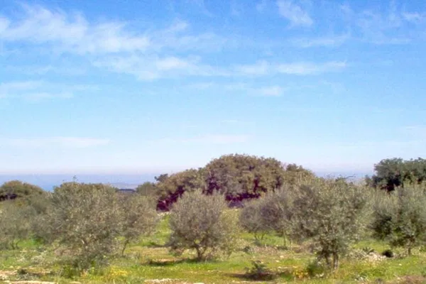 Seafront 100,000 m² Plot of Land for Sale in Arkadi, Rethymnon