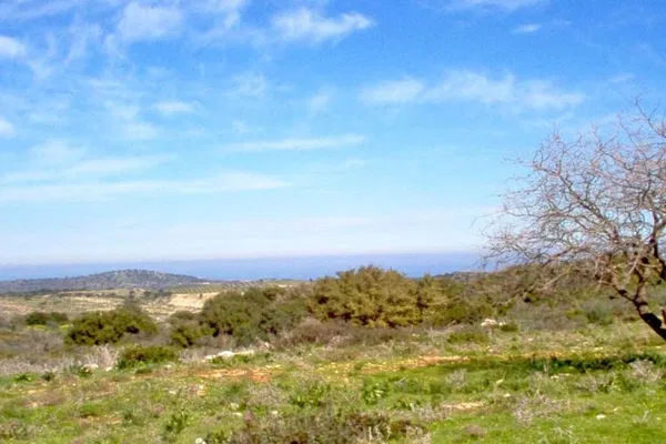 Seafront 100,000 m² Plot of Land for Sale in Arkadi, Rethymnon — photo 3