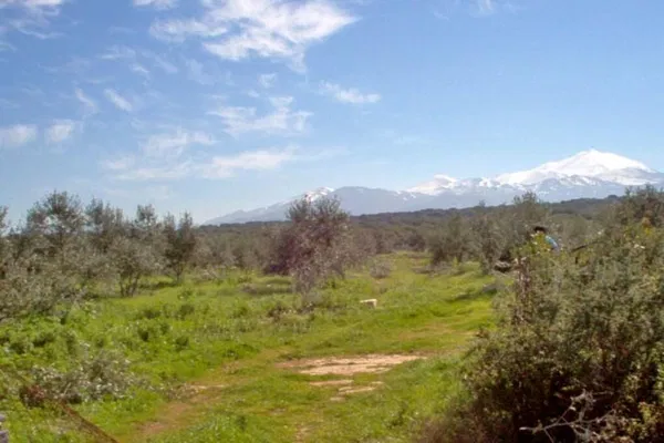 Seafront 100,000 m² Plot of Land for Sale in Arkadi, Rethymnon — photo 2