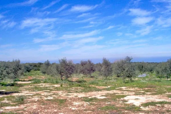 Seafront 100,000 m² Plot of Land for Sale in Arkadi, Rethymnon — photo 5