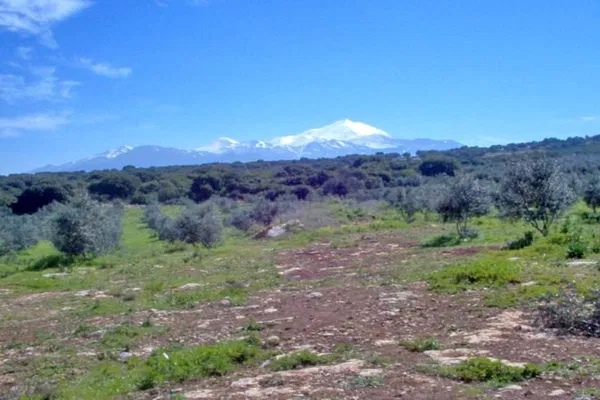 Seafront 100,000 m² Plot of Land for Sale in Arkadi, Rethymnon — photo 4