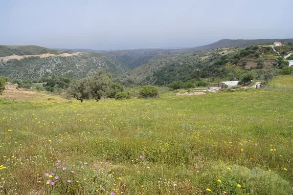 Seafront 5,514 m² Plot for Sale in Charkia, Rethymnon