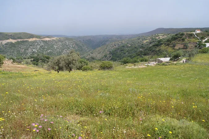 Seafront 5,514 m² Plot for Sale in Charkia, Rethymnon