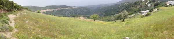 Seafront 5,514 m² Plot for Sale in Charkia, Rethymnon — photo 2