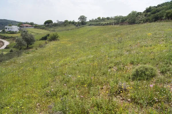 Seafront 5,514 m² Plot for Sale in Charkia, Rethymnon — photo 5